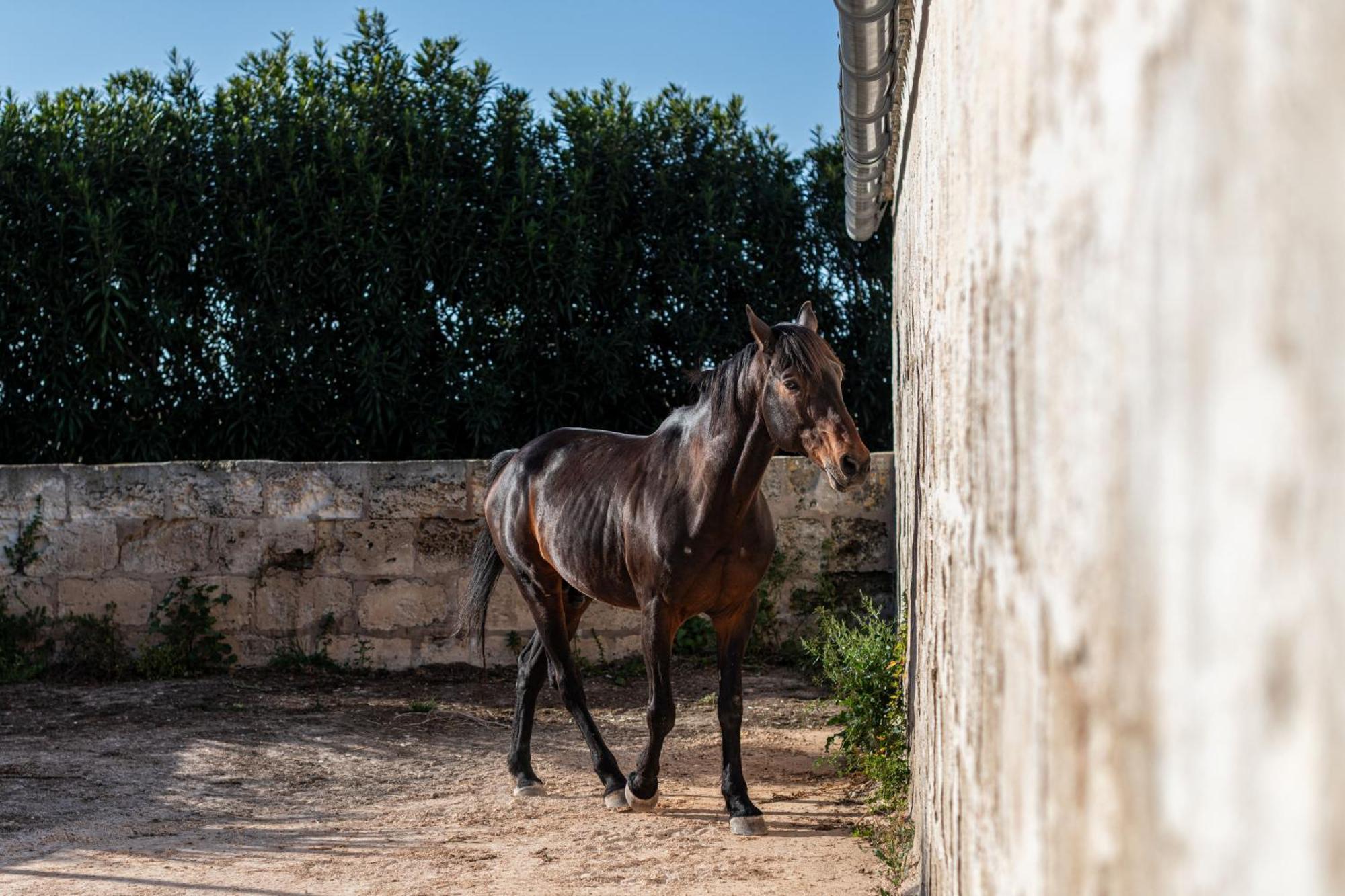 Agroturismo Son Juaneda シウタデリャ エクステリア 写真